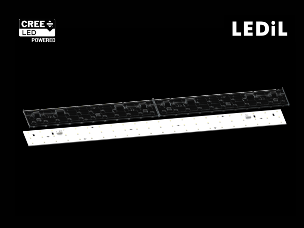 Linear Led Module 560x55mm FLORENCE-3R x 2